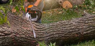 Best Artificial Turf Installation  in Cape May, NJ