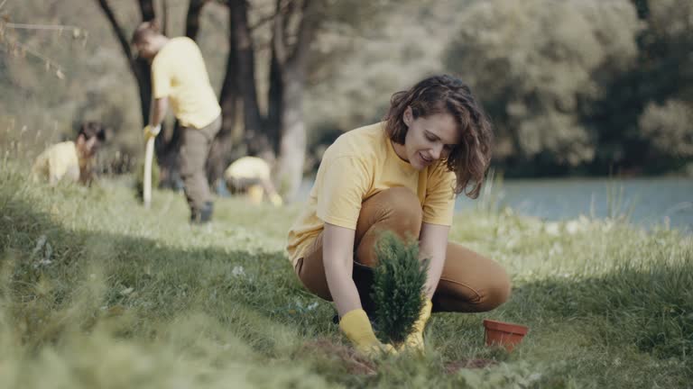 Lawn Drainage Solutions in Cape May, NJ